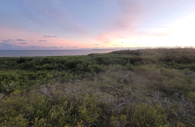 Breathtaking Ocean views! Owners who care. “Sangria Sunrise”! 10% off charters!