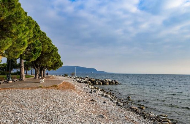 Breeze of Lake