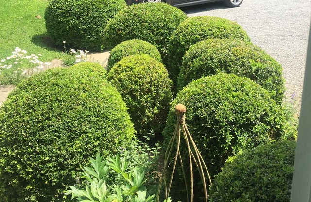 Bridgehampton South Garden Cottage