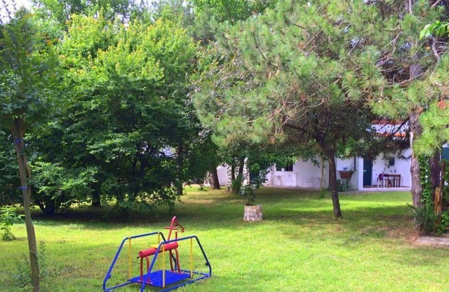 Bright apartment with garden and swimming pool