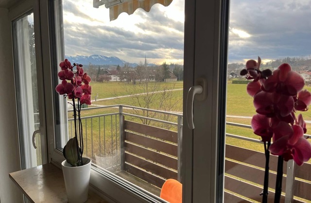 Bright, cozy apartment with mountain views near the lake and city, pet-friendly