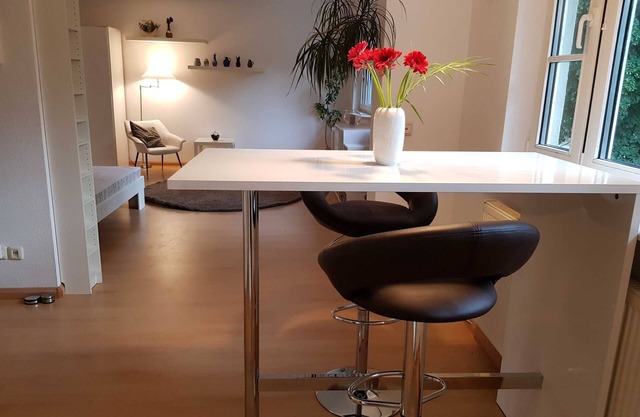 Bright cozy studio downtown - Studio