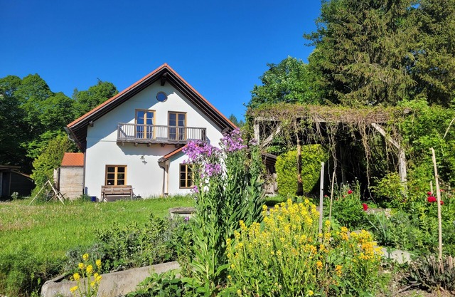 Bright holiday home in a clearing