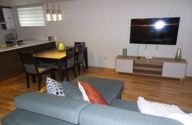 Bright room in a 3 and a half with sofa bed to rent for your stays