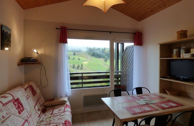 Bright studio + mountain area, 4 pers, Samance, Le Grand-Bornand
