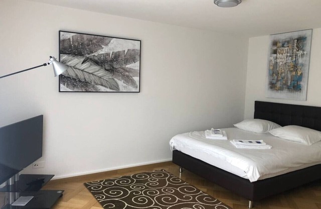Bright studio in the city center (Greenyard 1)