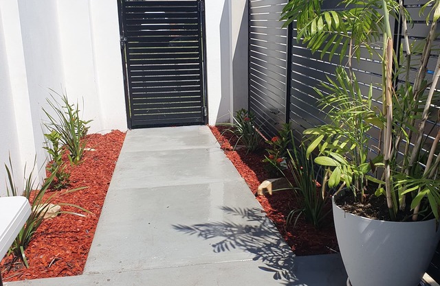 Broadbeach Tropical Gem with Lux features