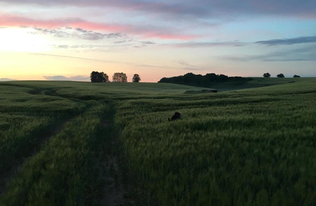 Broockhof Ferienwohnung unterm Sternenhimmel in Mecklenburg