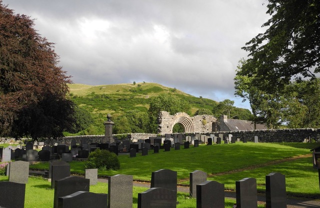 Bryn Y Gog, Tregaron