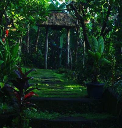 bucu hidden guest house, and meditation center