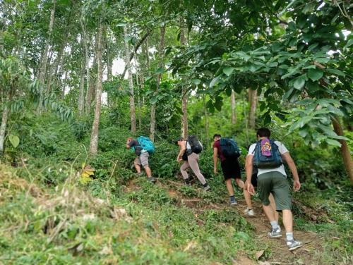 Bukit Lawang Backpacker JungleTrekking Only Booking with us