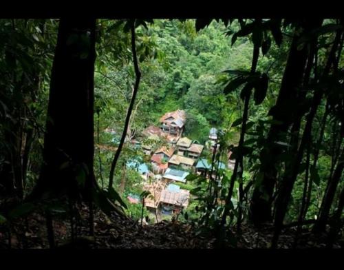 Bukit lawang free transpot free room