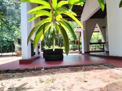 Bundala Resort