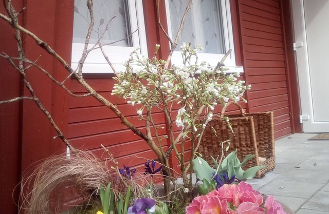 Bungalow 2 am Waldhof - feel at home in nature