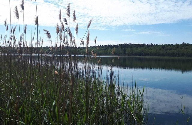 Bungalow by the lake in the nature reserve near the island of Usedom