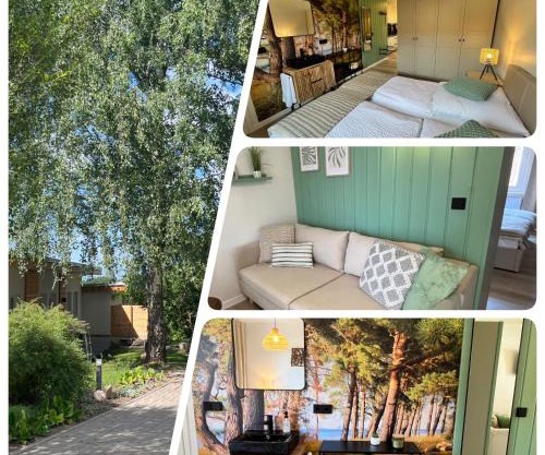 Bungalow Green Forest