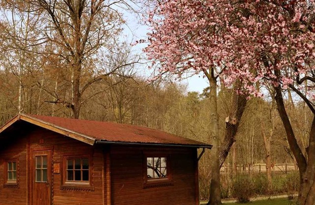 Bungalow House C1 - Schullandheim
