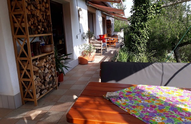 Bungalow on the outskirts with terrace under mature trees