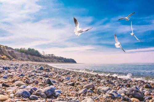 Bungalow SONNE UND MEER direkt am Strand