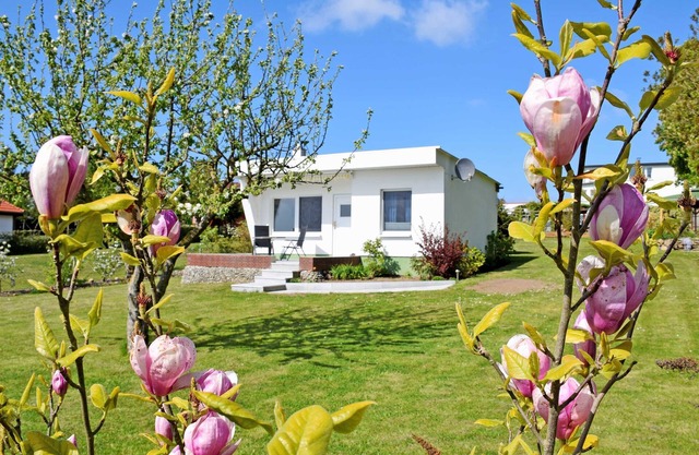 Bungalow 'Sundblick' with Sea View, Private Terrace and Wi-Fi