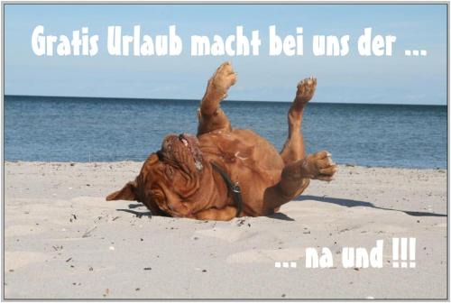 Bungalow WALD & SAND direkt am Strand