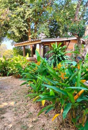 Bunnum Homestay