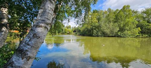 Bunting Lodge, 21 Duck Lake