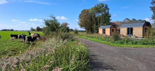 Buorkerijhûske A - Tussen Wad en Weide