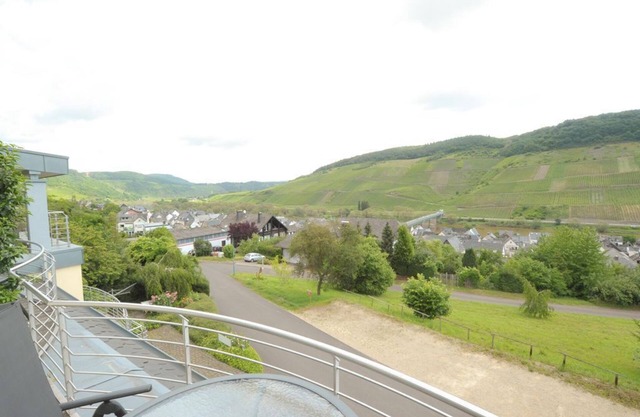 Burg Eltz - Holiday cottage Panorama Mosel