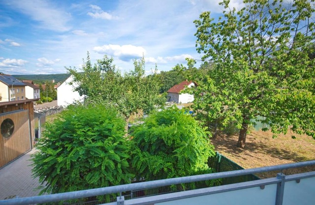 Burgblick-merzalben