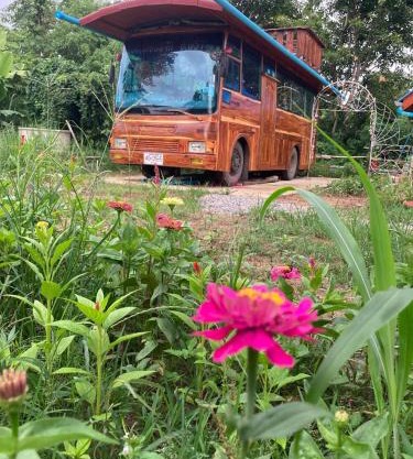 Bus Resort
