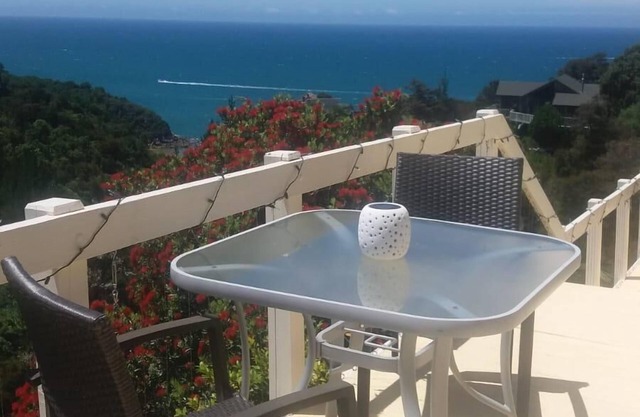 Bush and Seaview Studio