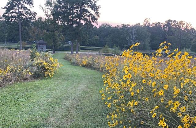 Buster's Barn at Grant Farmn