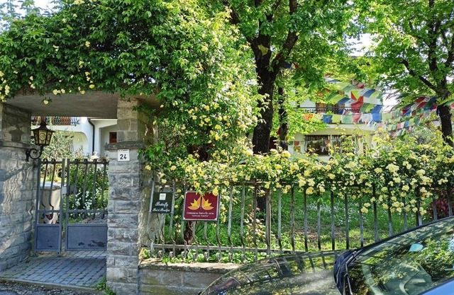 Butterfly B&B