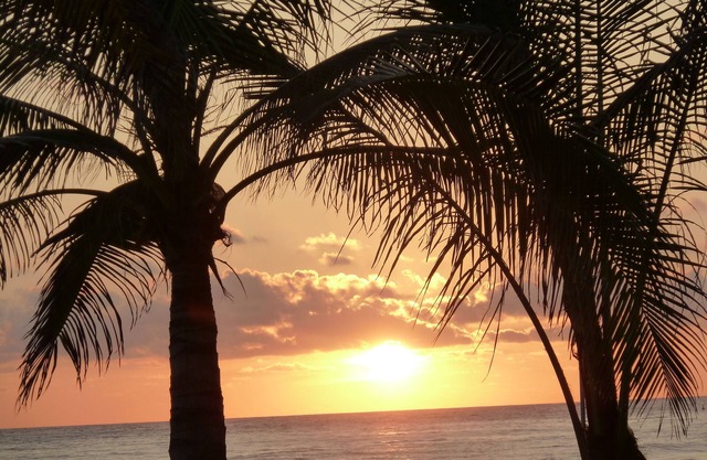 Bvg Marina Luxury Condo Ocean View - a Sight to Be Seen