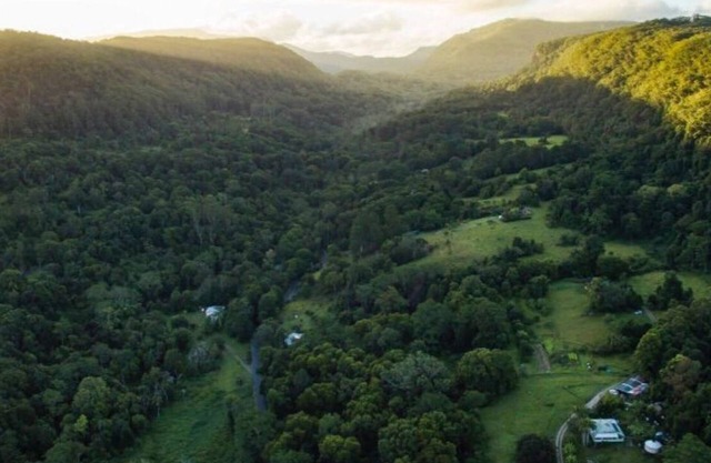 Byron Hinterland/Mountain Rainforest/Permaculture Farm - Pet Friendly!