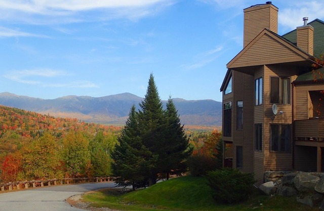 C11 Top Rated Townhome. Great views, fireplaces, wifi, AC! Short walk to slopes, and dog friendly!