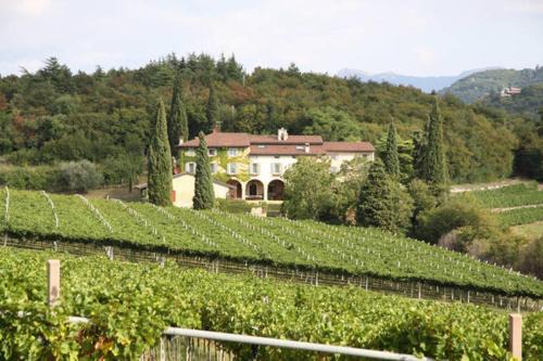 Ca' del Buso