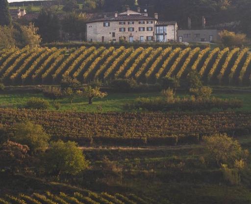 Ca' del Moro Wine Retreat