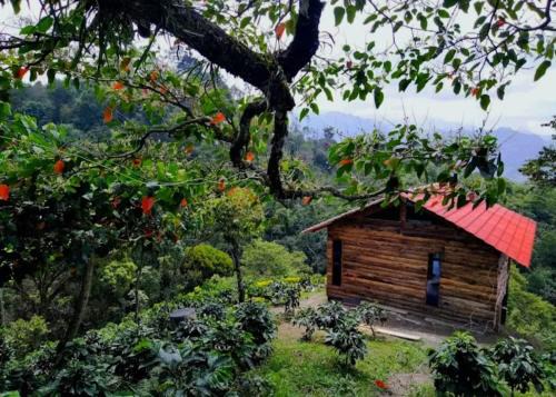 Cabaña cafetera con hermosa vista