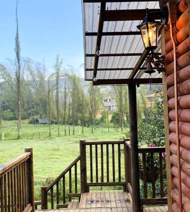 Cabaña de lujo con Lavadora y Secadora - Caballo Dorado