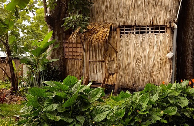 Cabañas El Bamboo