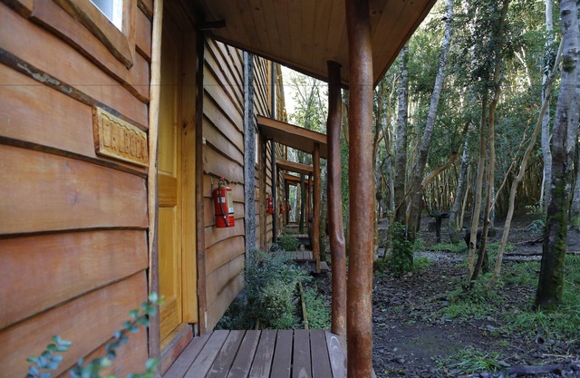 Cabañas Ensenada Bosque Nativo