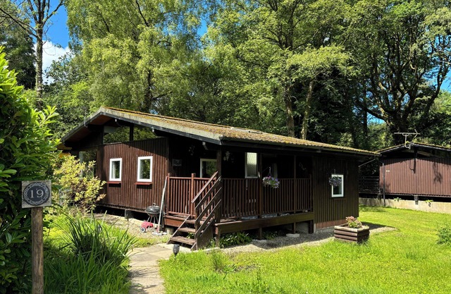 Caban Coetir - Spacious lodge in stunning woodland location 🐾✅