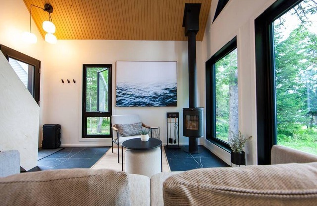 Caban moderne, au bord du lac noir !
