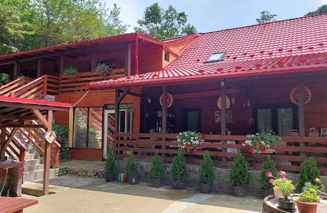 Cabana Alpha
