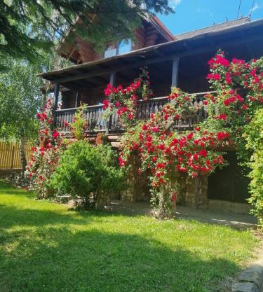Cabana Haiducului
