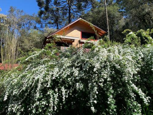 Cabana na montanha