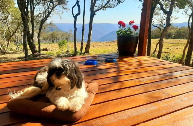 Cabana no alto do morro