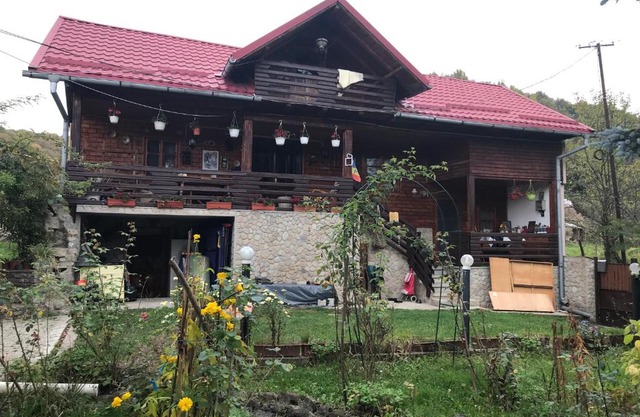 Cabana Trei Brazi Dambovita